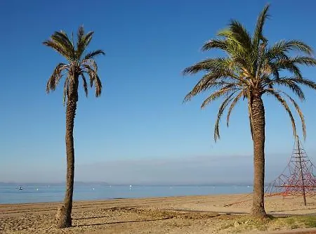 Terraza - Salata Mar *